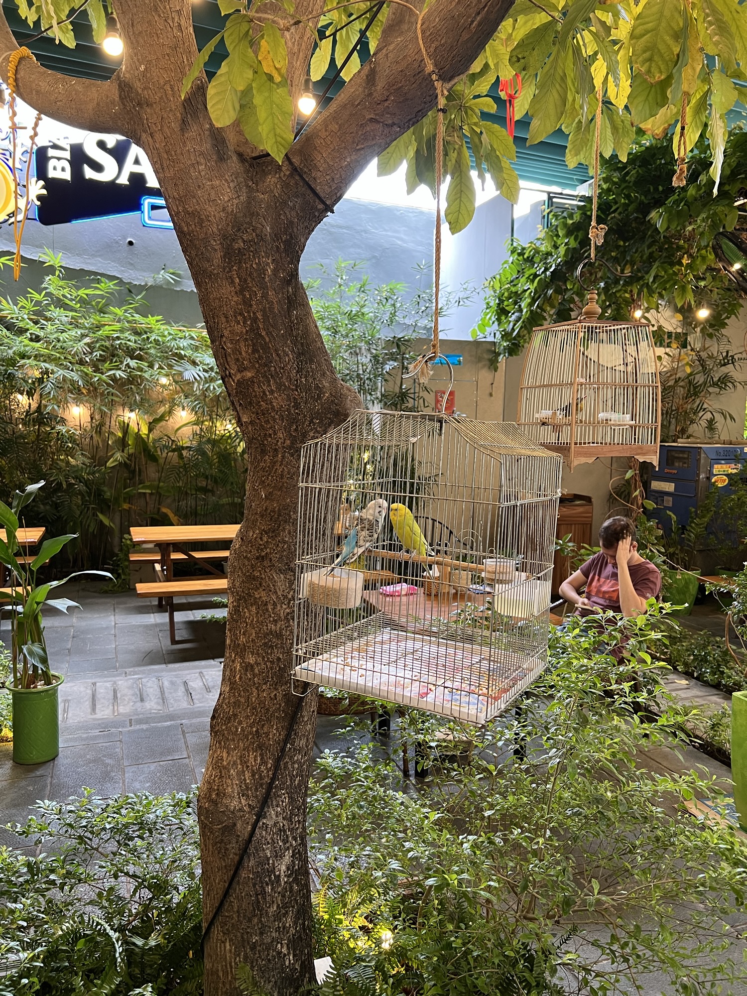 Xom moi garden, Nha Trang. 쏨모이가든 나트랑