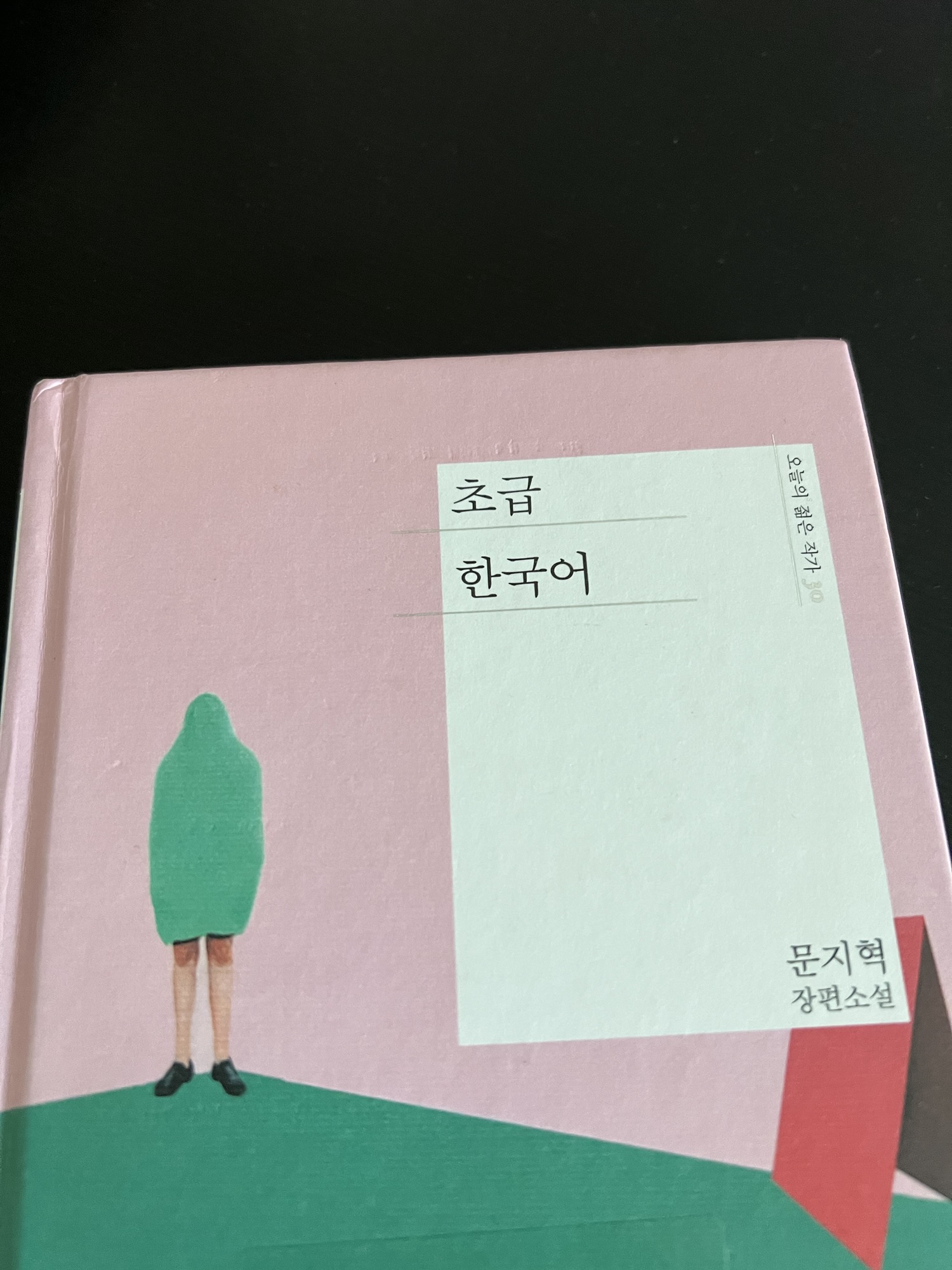 초급한국어, 문지혁