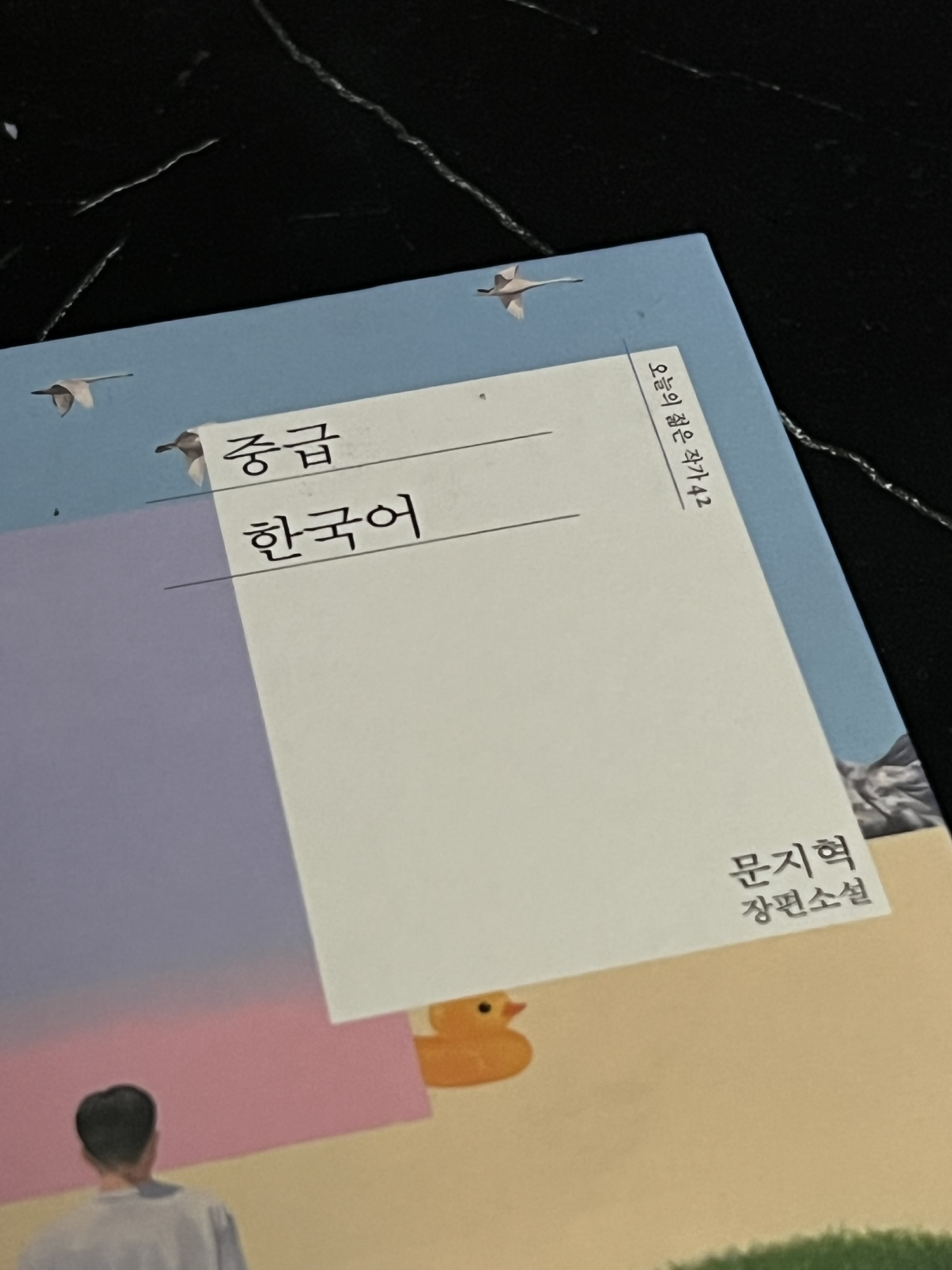 중급한국어, 문지혁